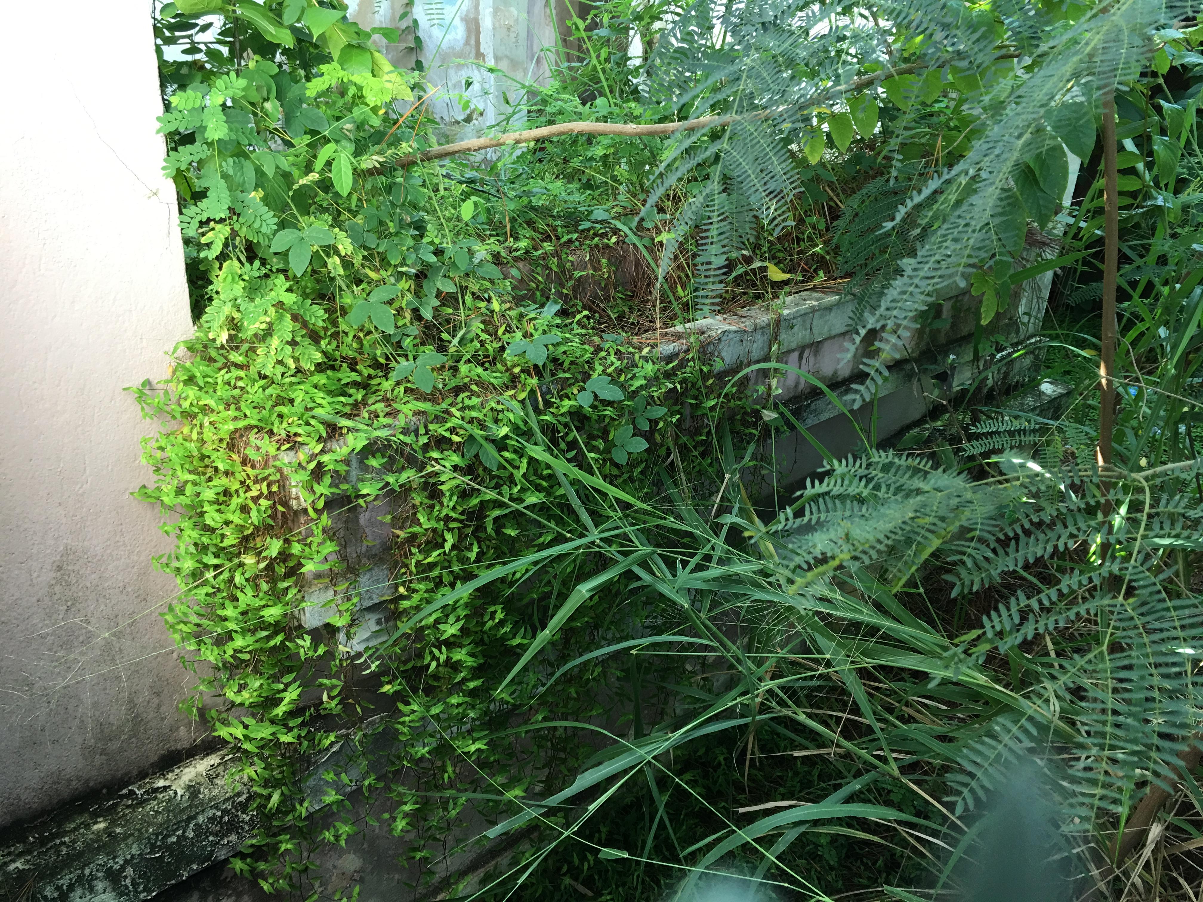 Castillo Villa del Mar - Naguabo - 2015 00075